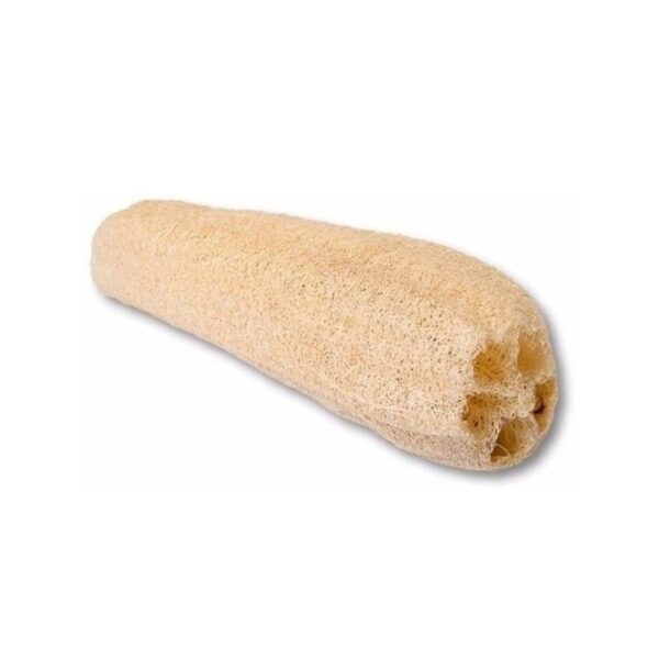 Fotos-finales-con-logo-2022---A estropajo o luffa