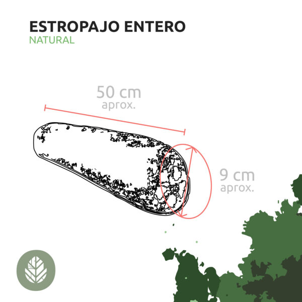 Medidas-estropajo-entero Medidas-estropajo-entero