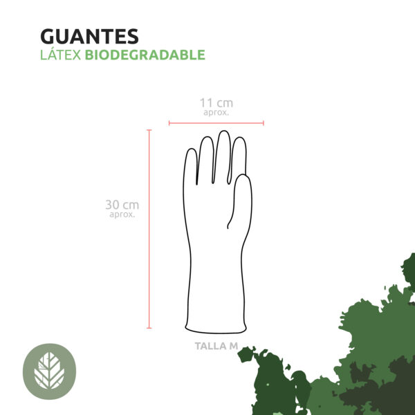 Medidas-guantes-de-latex Medidas-guantes-de-latex