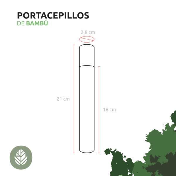 Medidas-portacepillo Portacepillos de bambú